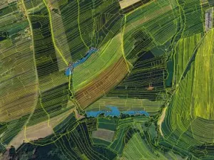 Prodej podílu pole, Újezd, 1251 m2