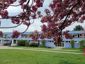 Prodej bytu 4+kk, Mokrá-Horákov, 125 m2