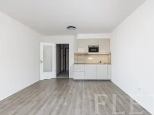 Pronájem bytu 1+kk, Praha - Smíchov, Pod Barvířkou, 36 m2