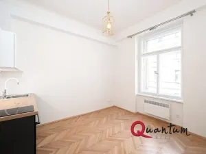 Pronájem bytu 1+kk, Praha - Nusle, Oldřichova, 19 m2