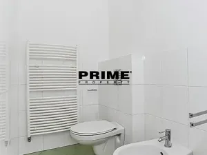 Pronájem bytu 4+1, Praha - Vinohrady, Anny Letenské, 160 m2