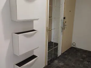 Pronájem bytu 3+1, Brno, Renneská třída, 72 m2