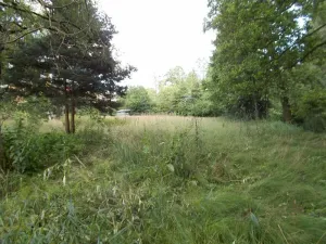 Prodej louky, Velký Šenov, 3266 m2