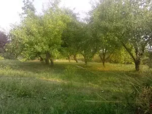 Prodej pozemku pro bydlení, Uherský Ostroh, 600 m2