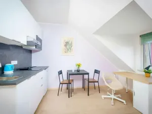 Pronájem bytu 1+kk, Praha - Žižkov, U kněžské louky, 25 m2