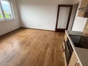 Pronájem bytu 1+kk, Prostějov, Netušilova, 34 m2