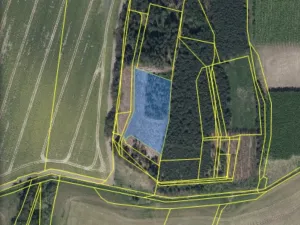 Prodej lesa, Veliny, 5028 m2