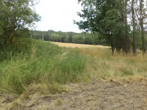 Prodej zahrady, Heřmanova Huť - Vlkýš, 1100 m2