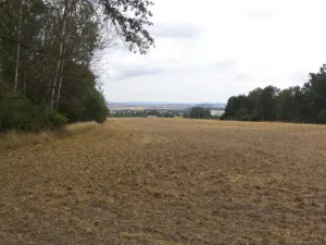 Prodej zahrady, Heřmanova Huť - Vlkýš, 1100 m2