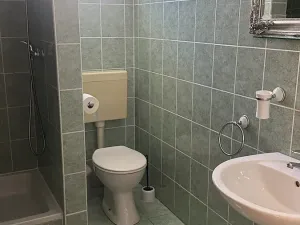 Prodej vily, Žaborić, Chorvatsko, 500 m2