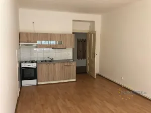 Pronájem bytu 3+kk, Praha - Žižkov, Hájkova, 76 m2