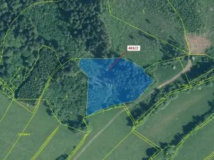 Dražba lesa, Nezdice na Šumavě, 10638 m2