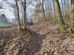 Prodej zahrady, Brno, Turistická, 207 m2