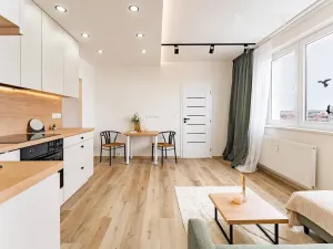 Prodej bytu 3+kk, Olomouc, Rožňavská, 43 m2