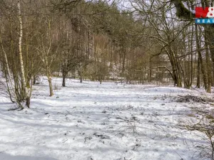 Prodej chalupy, Křižany, 190 m2