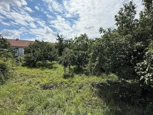 Prodej pozemku pro bydlení, Dolní Věstonice, 453 m2