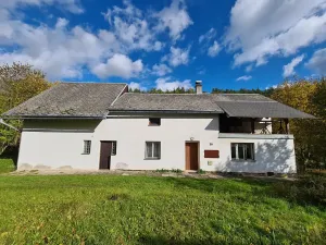 Prodej rodinného domu, Jenišovice, 283 m2