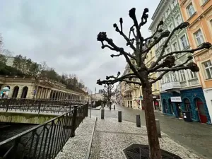 Prodej bytu 2+kk, Karlovy Vary, Vřídelní, 58 m2