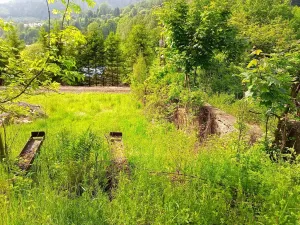 Prodej pozemku pro bydlení, Desná, Hutní, 2111 m2