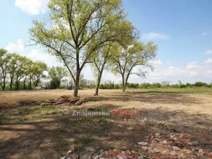 Pronájem komerčního pozemku, Hevlín, 16559 m2