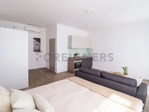 Pronájem bytu 1+kk, Brno, Bašty, 36 m2