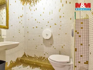 Pronájem obchodního prostoru, Ostrava - Hrabůvka, Horní, 250 m2