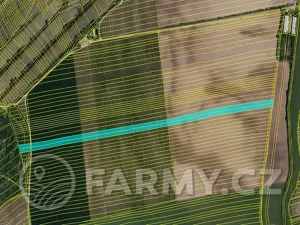 Prodej pole, Čejkovice, 194311 m2