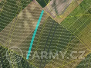 Prodej pole, Čejkovice, 194311 m2