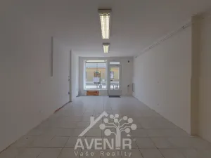 Prodej obchodního prostoru, Hodonín, Dolní Valy, 69 m2