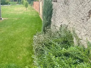 Prodej rodinného domu, Čistá, Tyršova, 130 m2