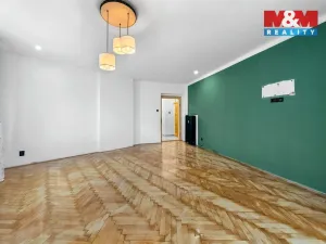 Prodej bytu 3+1, Ústí nad Labem - Ústí nad Labem-centrum, Resslova, 99 m2