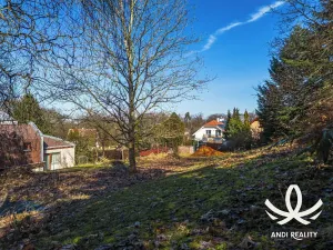 Prodej pozemku pro bydlení, Bradlec, 890 m2