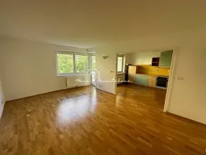 Prodej bytu 2+kk, České Budějovice, Holečkova, 54 m2