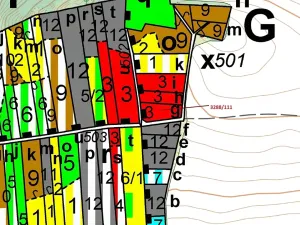 Dražba lesa, Hosty, 978 m2