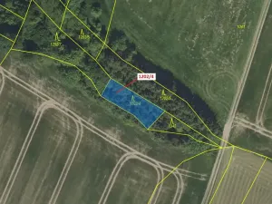 Dražba lesa, Čestín, 356 m2