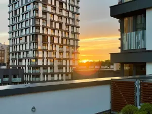 Pronájem bytu 2+kk, Praha - Žižkov, Olšanská, 69 m2