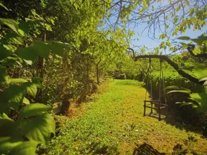 Prodej rodinného domu, Bechyně, nám. T. G. Masaryka, 76 m2