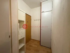 Prodej bytu 2+kk, České Budějovice, K. Štěcha, 48 m2