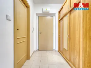 Pronájem bytu 1+kk, Štěnovice, Čižická, 28 m2