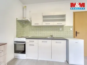 Pronájem bytu 1+kk, Štěnovice, Čižická, 28 m2