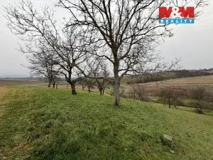 Prodej zahrady, Bezuchov, 901 m2