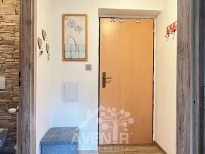 Pronájem bytu 1+1, Plavy, 45 m2