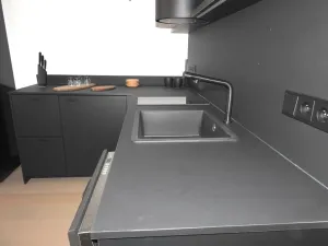 Pronájem bytu 1+kk, Praha - Žižkov, Buchovcova, 48 m2