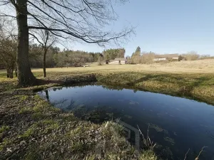 Prodej zemědělské usedlosti, Slabčice, 109 m2