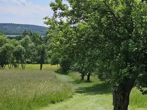 Prodej zemědělské usedlosti, Slabčice, 109 m2