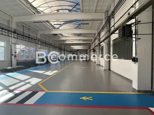 Pronájem skladu, Brno, Vídeňská, 2960 m2