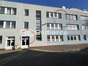 Pronájem výrobních prostor, Brno, Vídeňská, 1400 m2