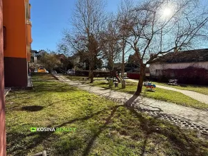 Pronájem bytu 1+1, Kynšperk nad Ohří, U Pivovaru, 40 m2