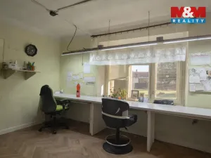 Pronájem rodinného domu, Tisová, 480 m2