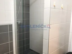 Pronájem bytu 2+kk, České Budějovice, U Lučního jezu, 61 m2